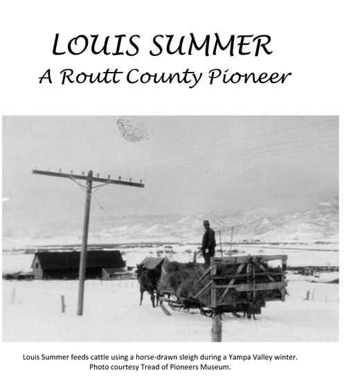 Title details for Louis Summer by Louis Summer - Available